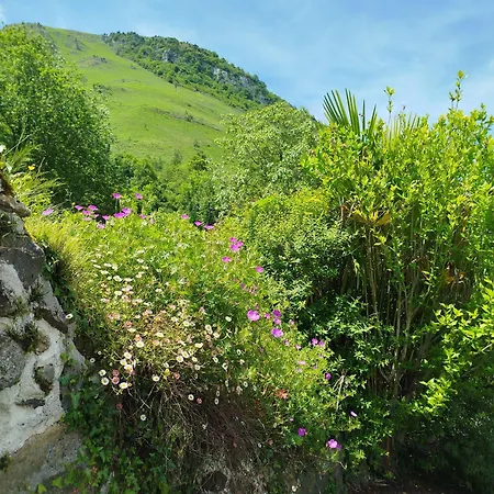 Holiday home Au Gre Des Saisons - 3 *